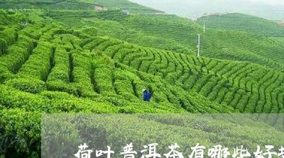 荷叶普洱茶有哪些好坏/2023100753136