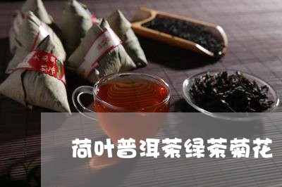 荷叶普洱茶绿茶菊花/2023091419360