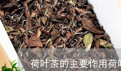 荷叶茶的主要作用荷叶茶有什么用处/2023060448582