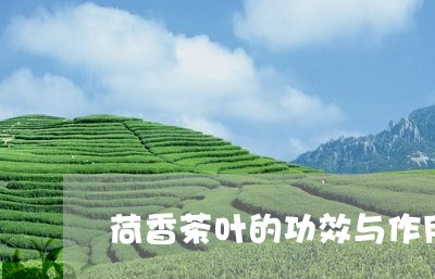 荷香茶叶的功效与作用/2023061141704