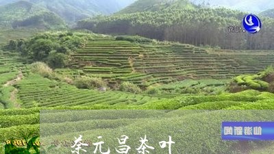 荼元昌茶叶/2023041753704