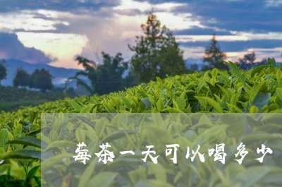 莓茶一天可以喝多少/2023042019613