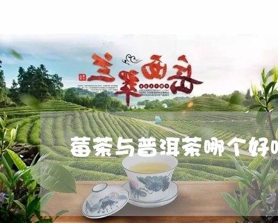 莓茶与普洱茶哪个好喝/2023120700936