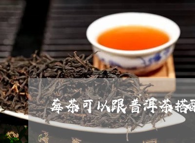 莓茶可以跟普洱茶搭配一起喝吗/2023053031674