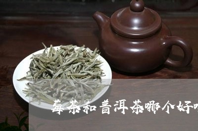 莓茶和普洱茶哪个好喝/2023080285947