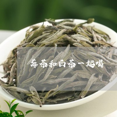 莓茶和白茶一起喝/2023071162816