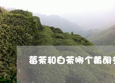 莓茶和白茶哪个黄酮多一些/2023042834816