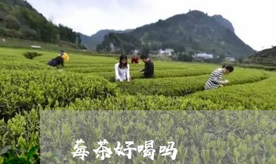 莓茶好喝吗/2023090282415