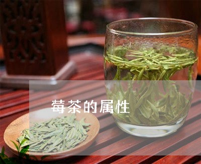 莓茶的属性/2023090238182