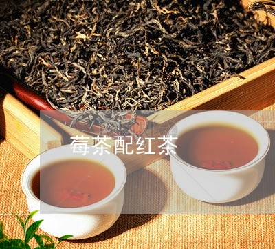 莓茶配红茶/2023090264258