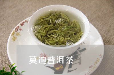 莫迪普洱茶/2023102526269