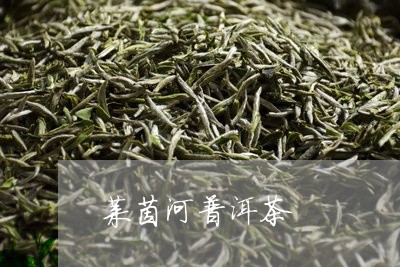 莱茵河普洱茶/2023042850547