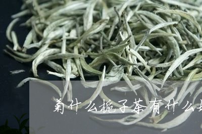 菊什么栀子茶有什么好/2023071459383