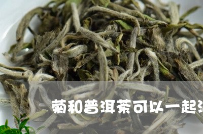 菊和普洱茶可以一起泡吗/2023051141926