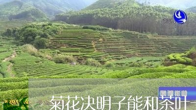 菊花决明子能和茶叶一起泡吗/2023052674946