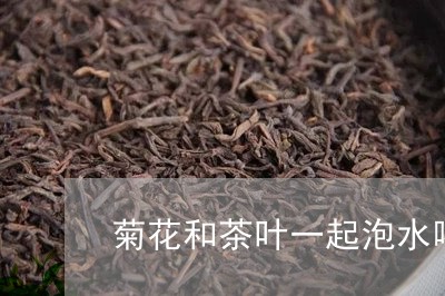 菊花和茶叶一起泡水喝可以吗/2023052643826