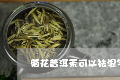 菊花普洱茶可以祛湿气吗/2023103149581