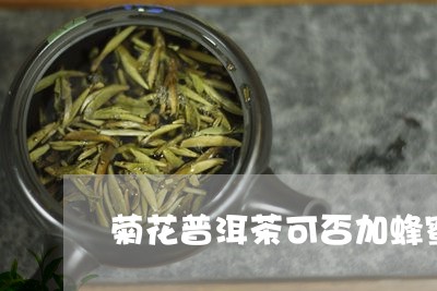 菊花普洱茶可否加蜂蜜/2023080119461