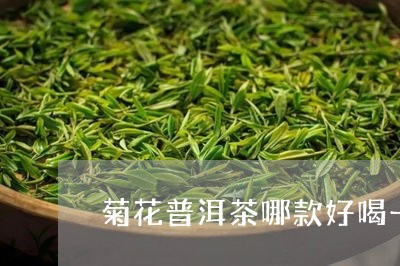 菊花普洱茶哪款好喝一点/2023082564059