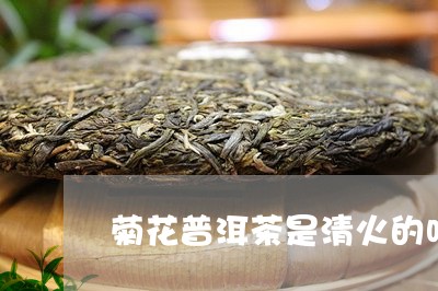 菊花普洱茶是清火的吗/2023061962715