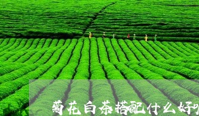 菊花白茶搭配什么好呢图片/2023111741583