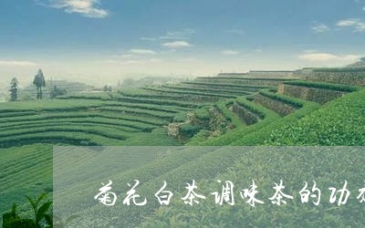 菊花白茶调味茶的功效与禁忌/2023111457383