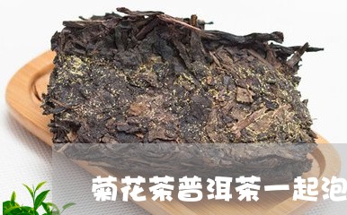 菊花茶普洱茶一起泡吗/2023092535948