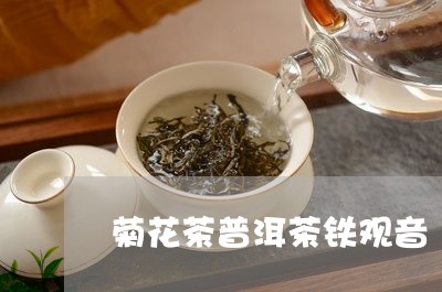 菊花茶普洱茶铁观音/2023091516248