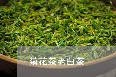 菊花茶老白茶/2023052339471