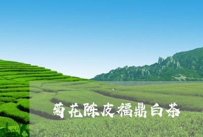 菊花陈皮福鼎白茶/2023071117150