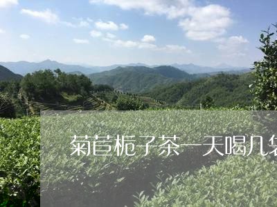 菊苣栀子茶一天喝几袋/2023071470505