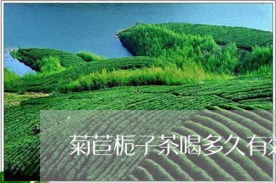 菊苣栀子茶喝多久有效/2023060816151