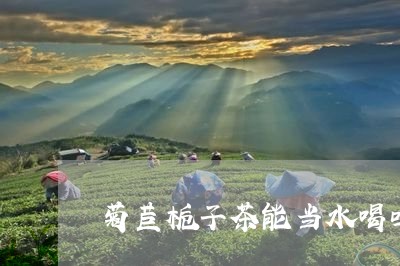 菊苣栀子茶能当水喝吗/2023071435480