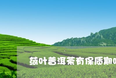 菏叶普洱茶有保质期吗/2023061576271