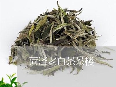 菏泽老白茶茶楼/2023060936067