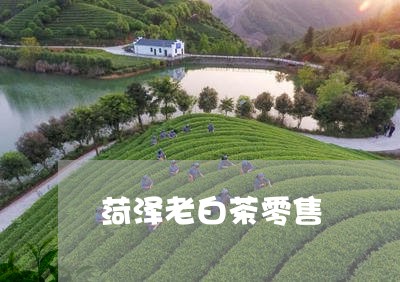 菏泽老白茶零售/2023060972047