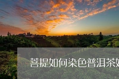 菩提如何染色普洱茶好/2023121860481