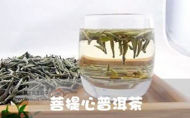 菩提心普洱茶/2023042881805