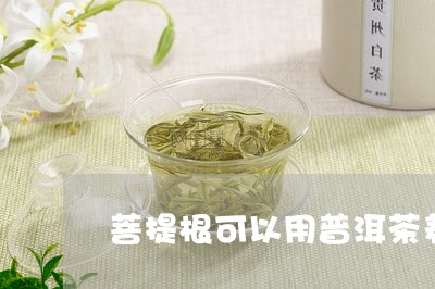 菩提根可以用普洱茶养/2023092970381