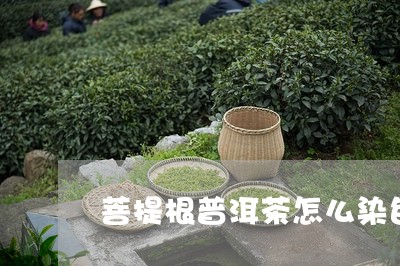 菩提根普洱茶怎么染色/2023120630592