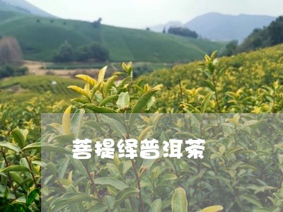 菩提绎普洱茶/2023042773603