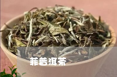 菲普洱茶/2023110873927