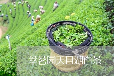 萃茗园天目湖白茶/2023071168369