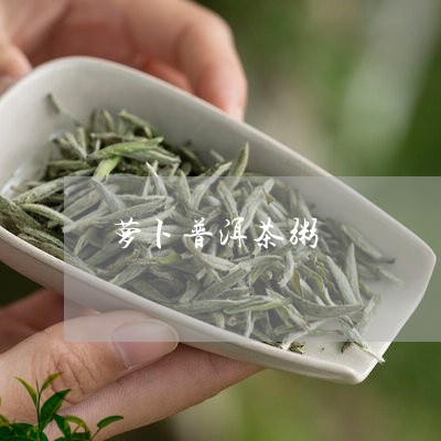 萝卜普洱茶粥/2023042887997