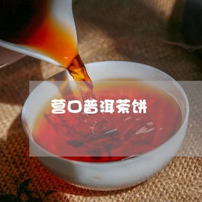 营口普洱茶饼/2023042730131