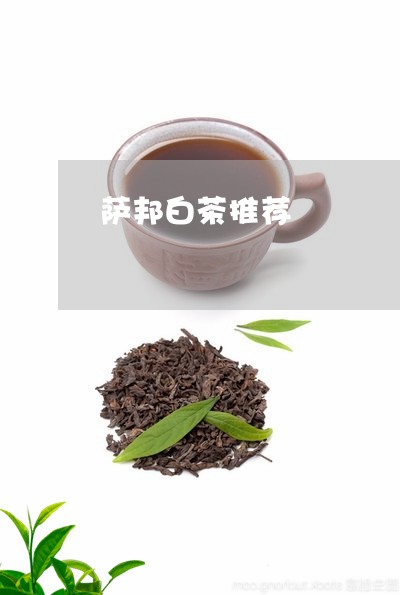 萨邦白茶推荐/2023071187358