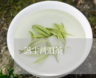 落尘普洱茶/2023090631825