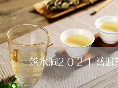 落水洞2021普洱茶/2023080122916