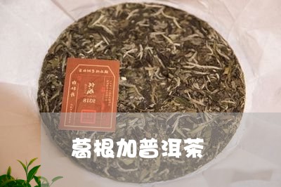 葛根加普洱茶/2023042834102