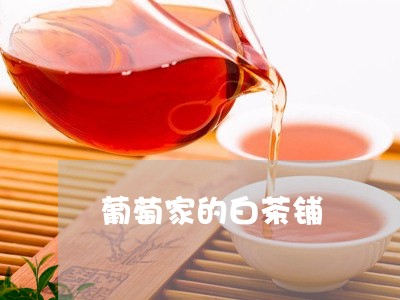 葡萄家的白茶铺/2023060952139